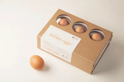Egg Cartons Wholesale: The Ultimate Guide